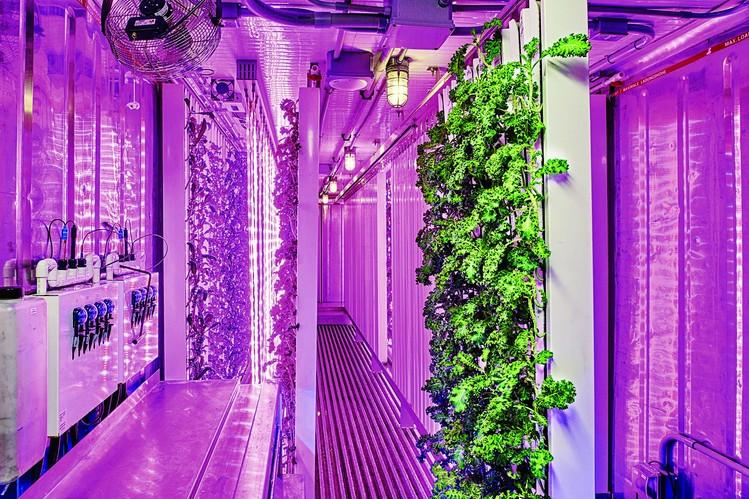 Is the future of farming in shipping containers ?