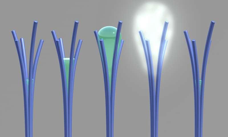 Scientists create nanorods that harvest water from the air