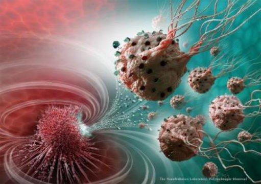 Nanorobots target cancerous tumors with precision