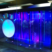 The Future of Cognitive Computing »