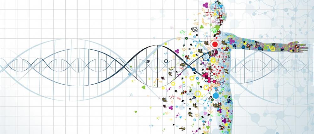 Precision Medicine: New Paradigms, Risks and Opportunities